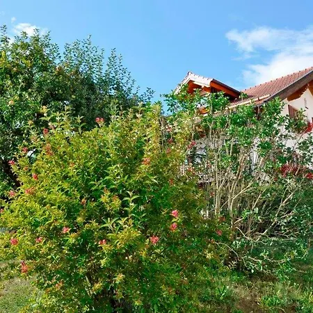 Gaestehaus Walser